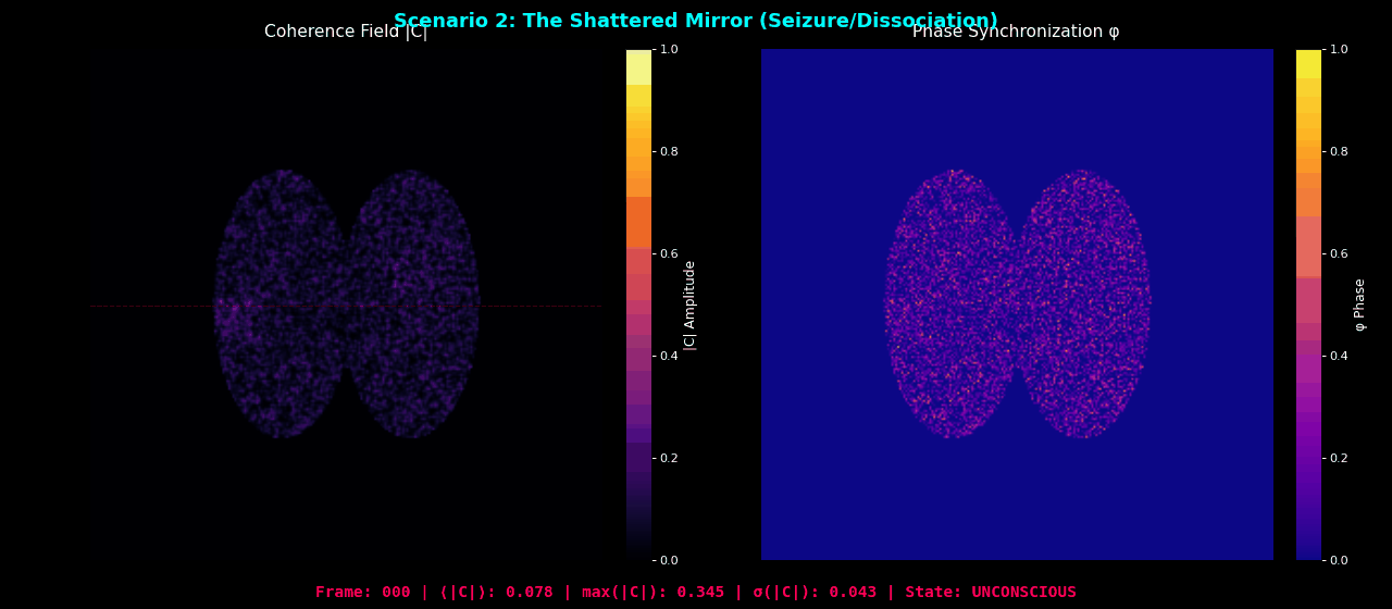 Brain Seizure Simulation